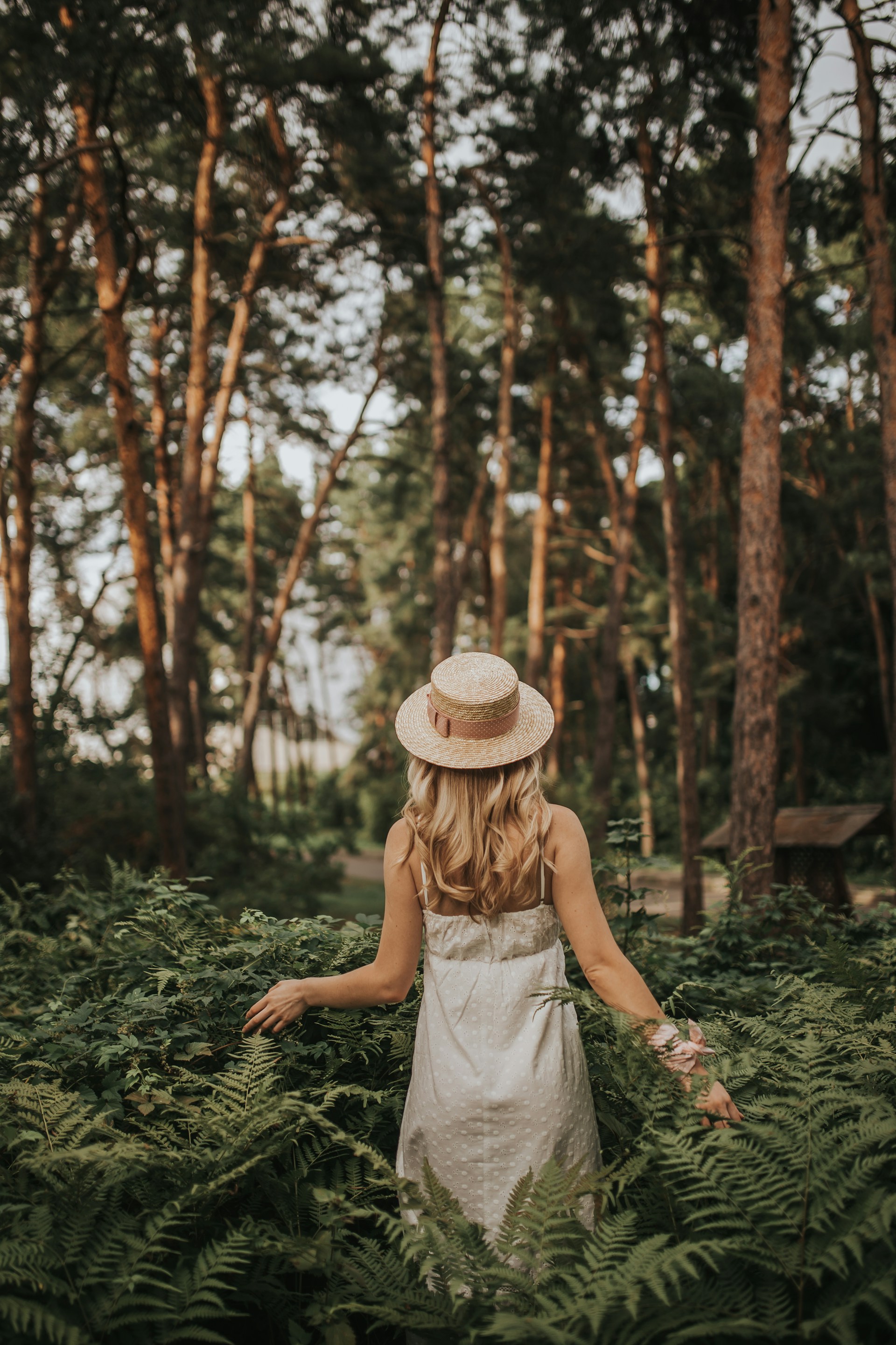 Wellness Habits That Don't Cost Money